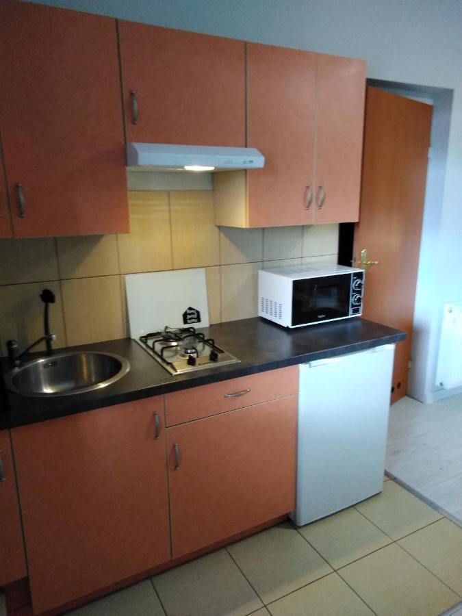 Mizerowka Guest House Кудова-Здруй Экстерьер фото